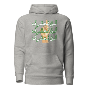 No Recognition - Hoodies