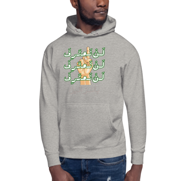 No Recognition - Hoodies - Image 9